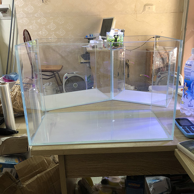 Bể siêu trong 40x22x27